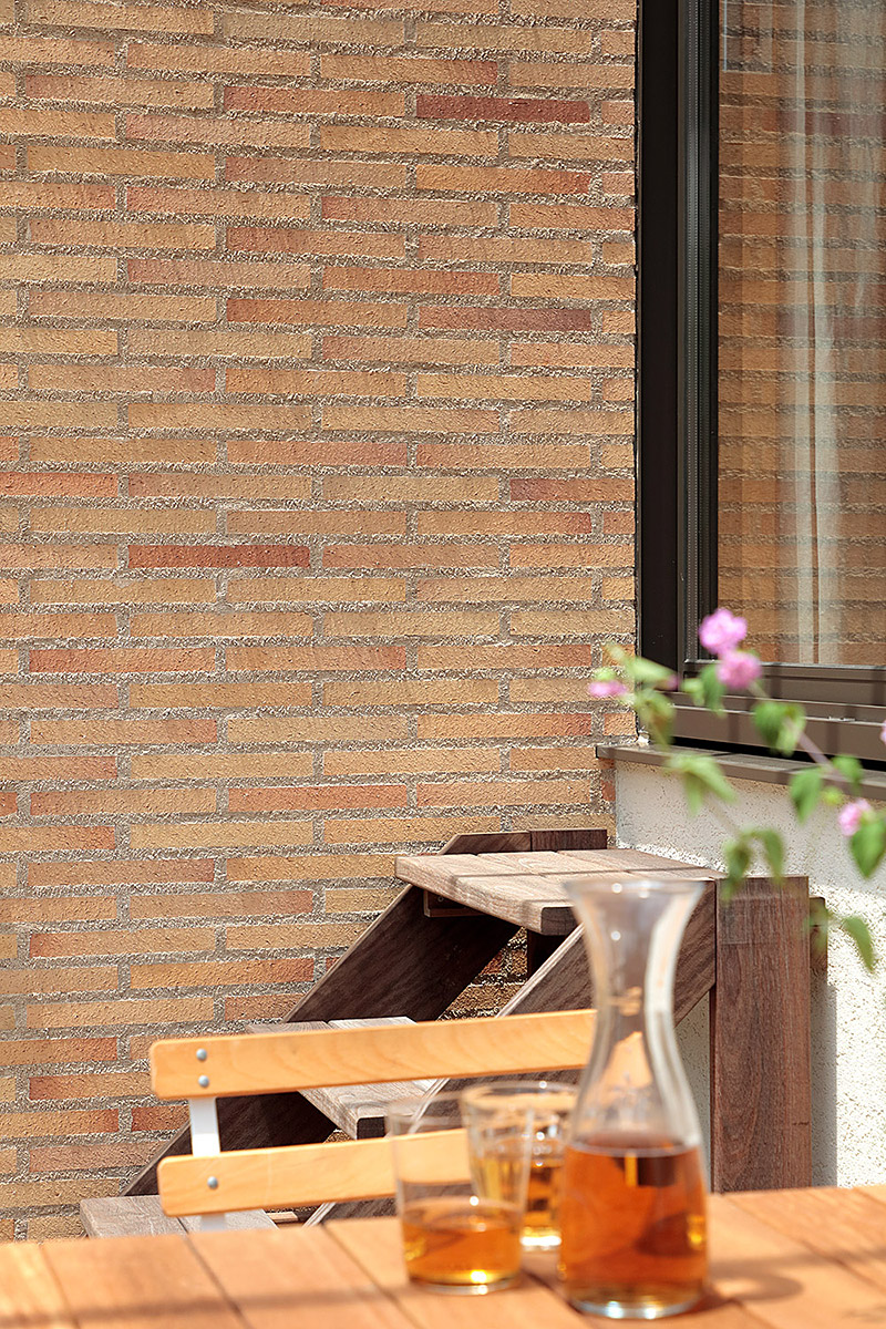 本とともに暮らす家