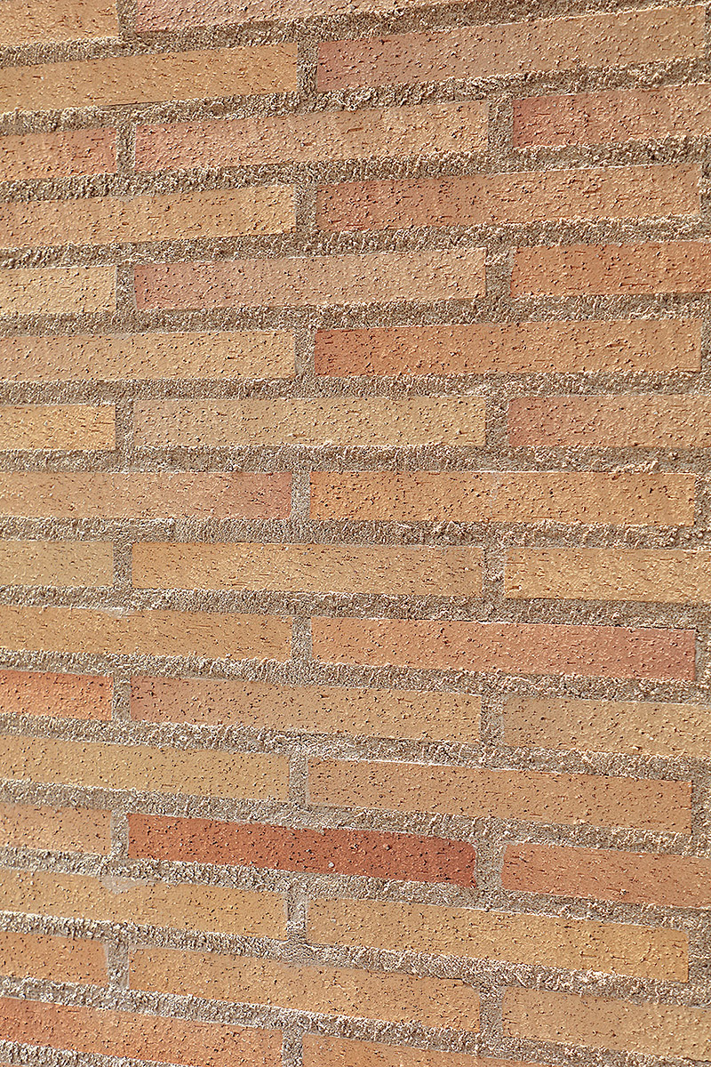 本とともに暮らす家