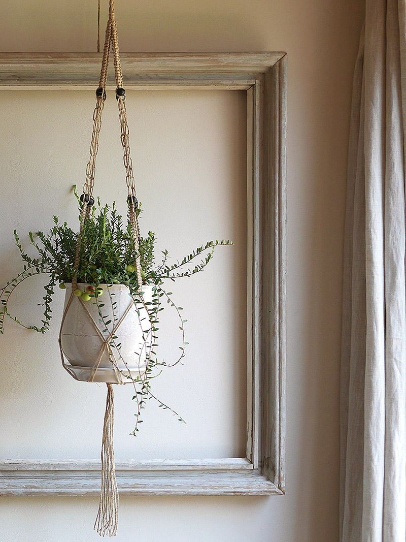 本とともに暮らす家