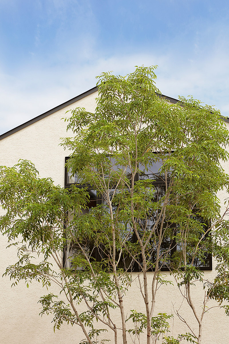 こもれびハウス