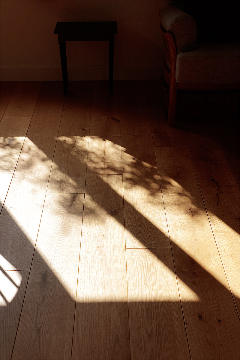 こもれびハウス