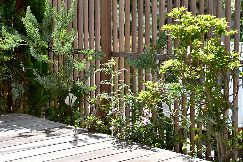 そよかぜハウス