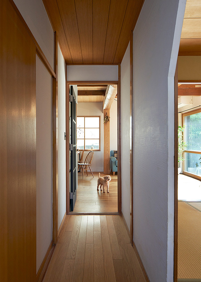 ダーニングハウス