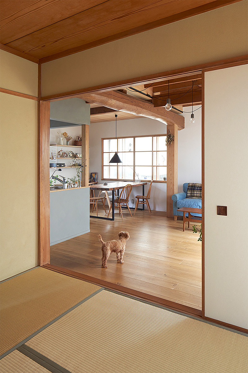 ダーニングハウス