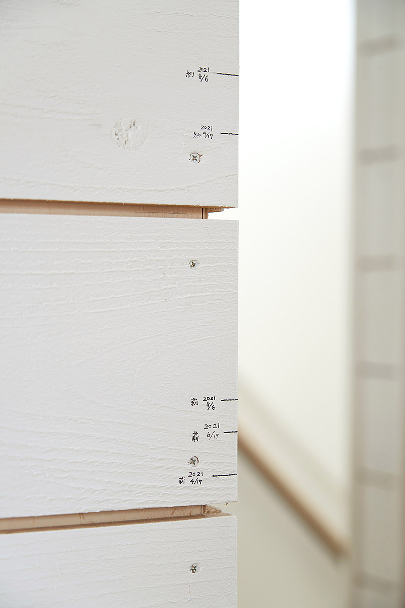 ざらいた壁の家