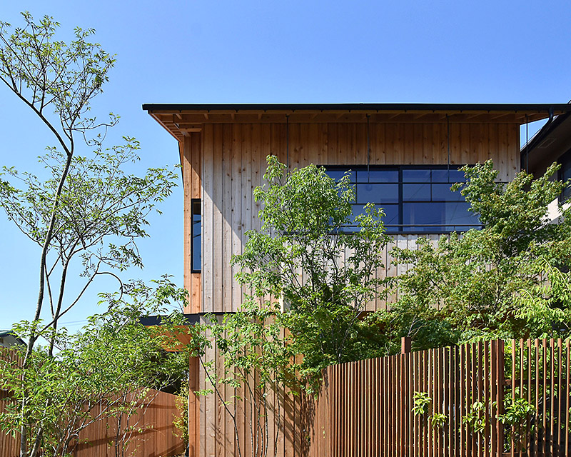 イロハモミジの家