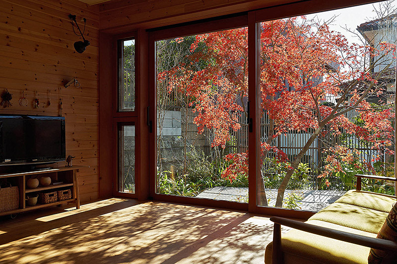 イロハモミジの家