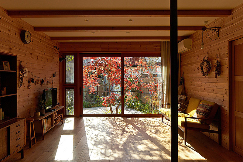 イロハモミジの家