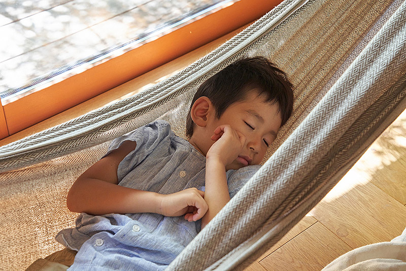 イロハモミジの家