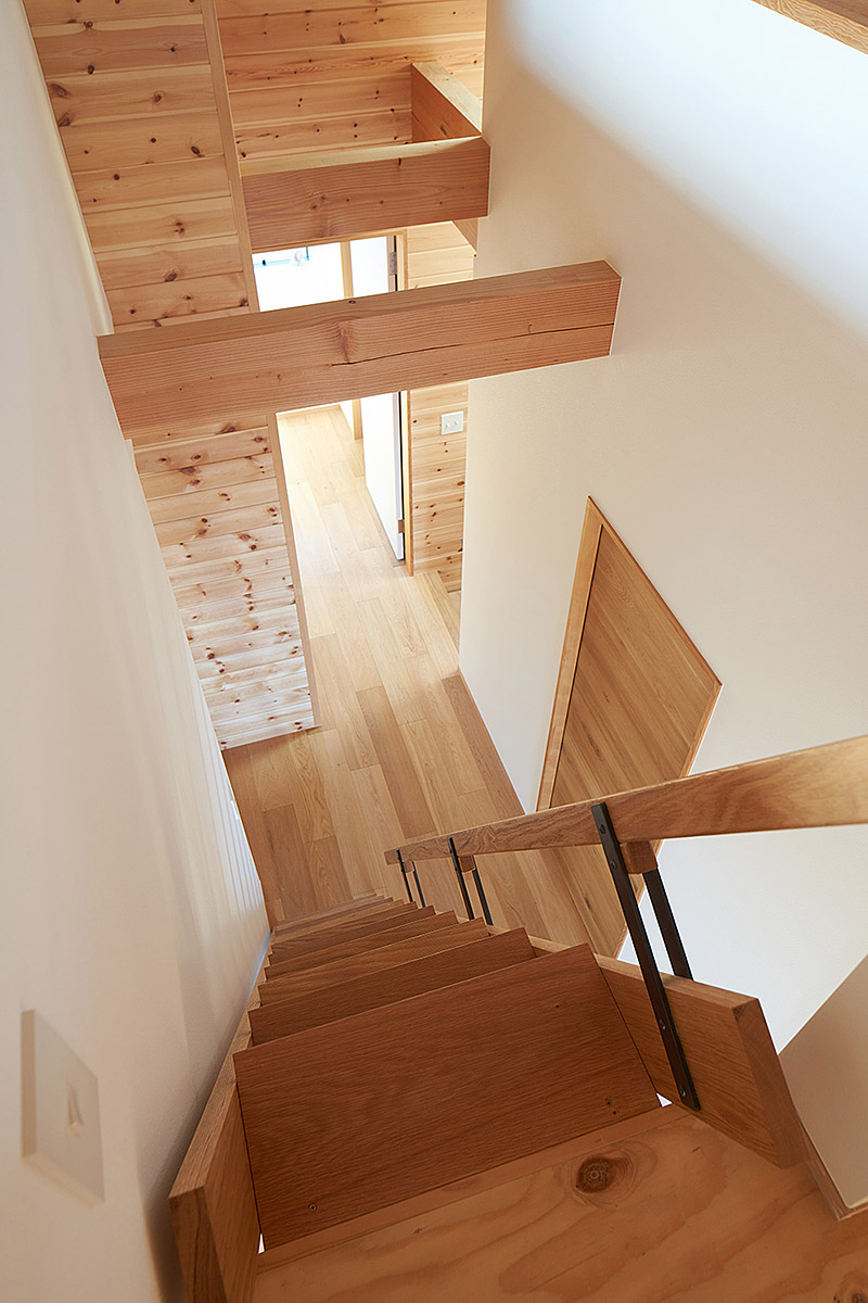 イロハモミジの家