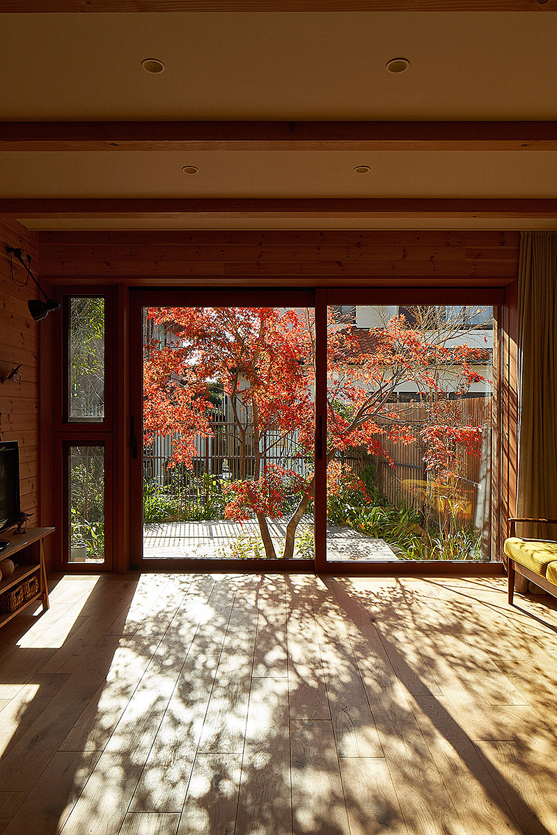 イロハモミジの家