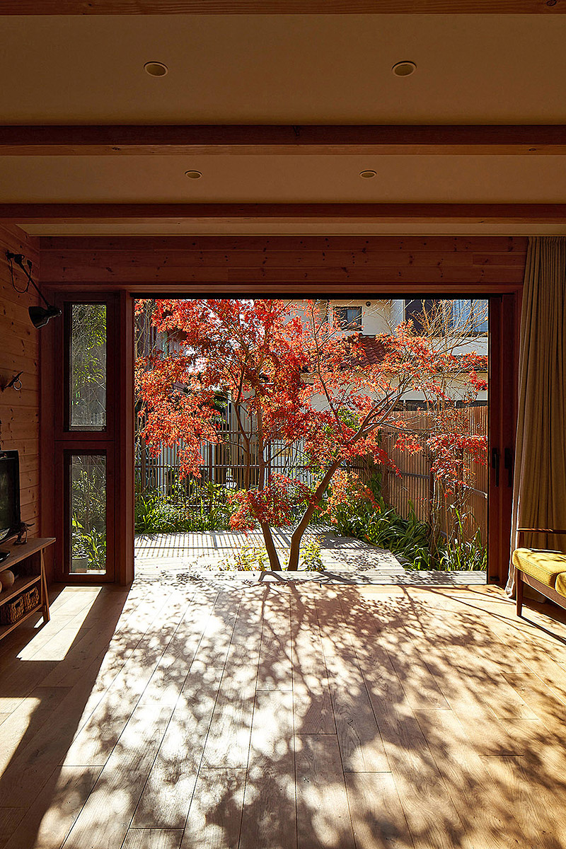 イロハモミジの家