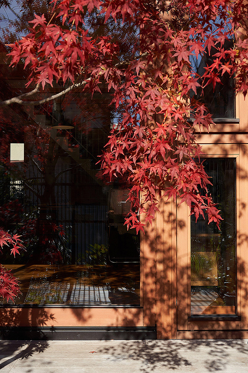 イロハモミジの家